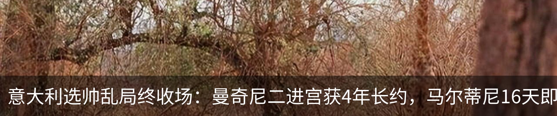 热点资讯